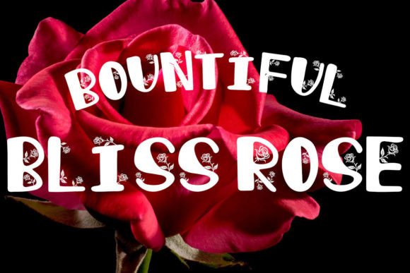 Bountiful Bliss Rose: A Decorative Font for Editorial Elegance