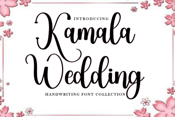 Kamala Wedding: A Designer’s Honest Review for Real Projects