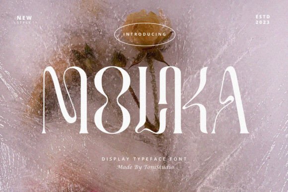 Molika: The Serif Font That Gave My Small Business a Polished New Voice